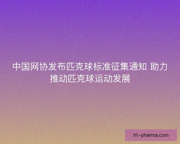 中国网协发布匹克球标准征集通知 助力推动匹克球运动发展 中国网协发布匹克球标准征集通知 助力推动匹克球运动发展